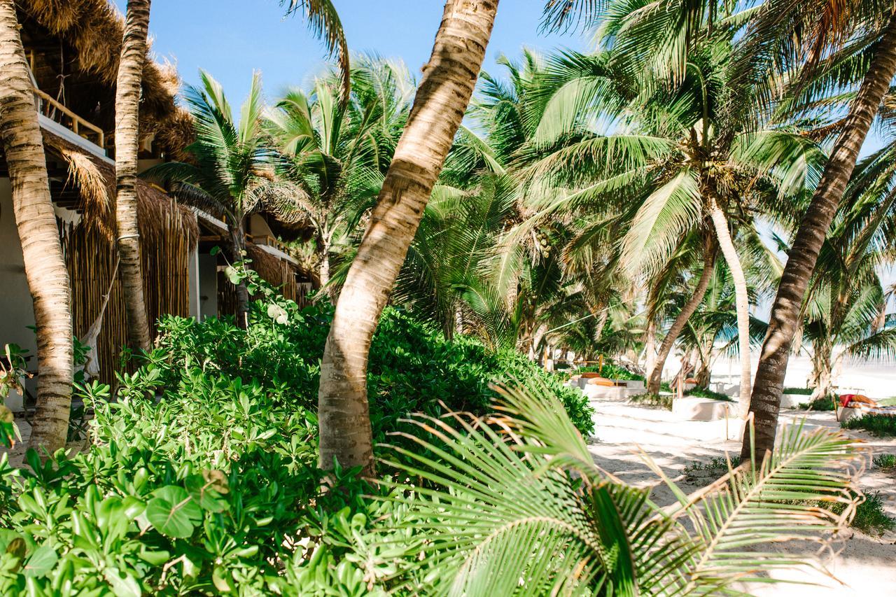 The Beach Tulum Hotel Exterior photo